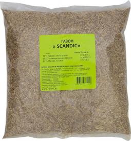 ���� ����� ��� �������� ������������� ������� 0,9�� SCANDIC